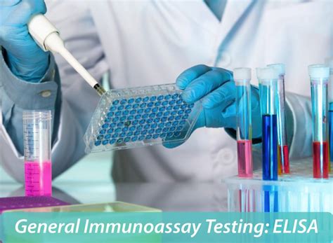 elisa test which disease|reasons for positive elisa tests.